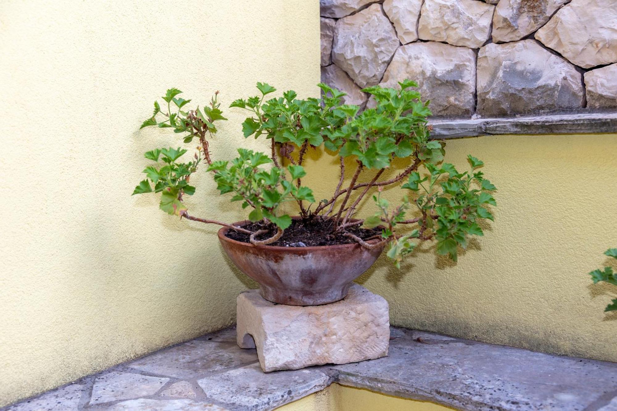 Apartments By The Sea Prigradica, Korcula - 544 Blato  Exterior photo